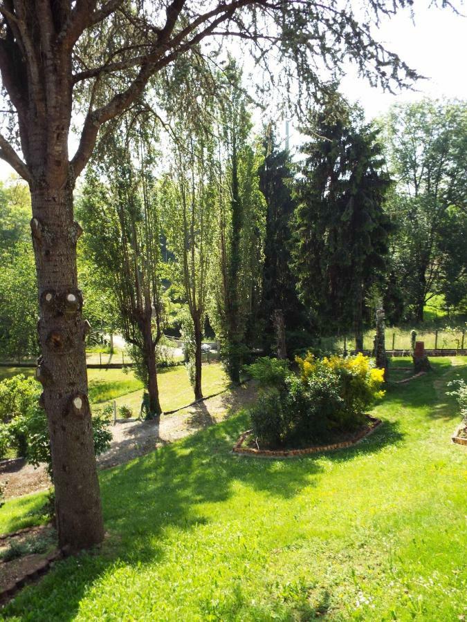 La Demeure Aux Pins 2* Lourdes