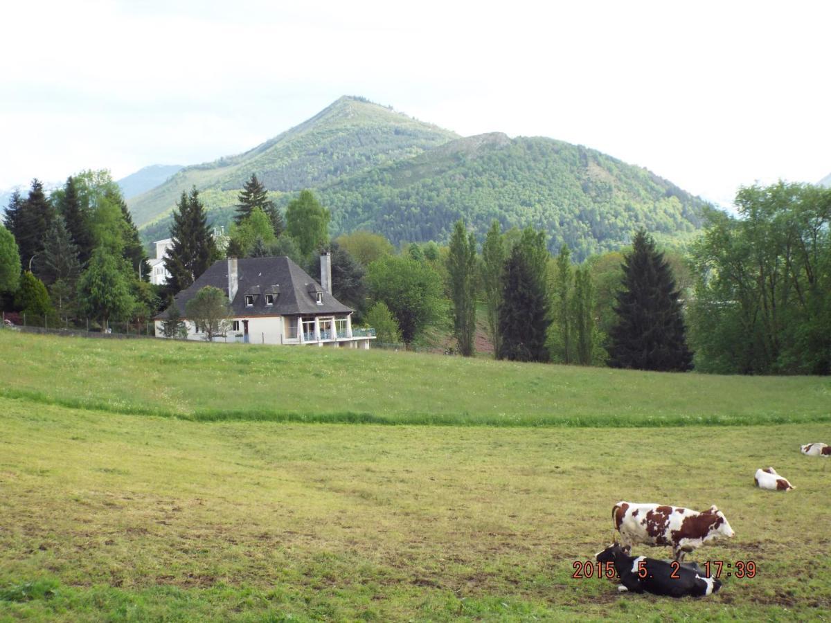 Bed & Breakfast La Demeure Aux Pins Lourdes