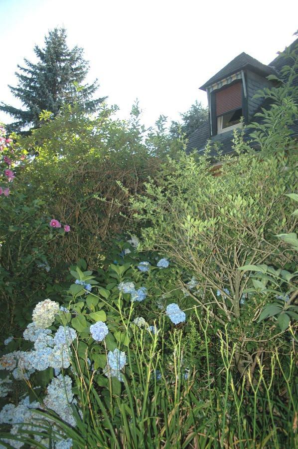 Bed & Breakfast La Demeure Aux Pins 2*
