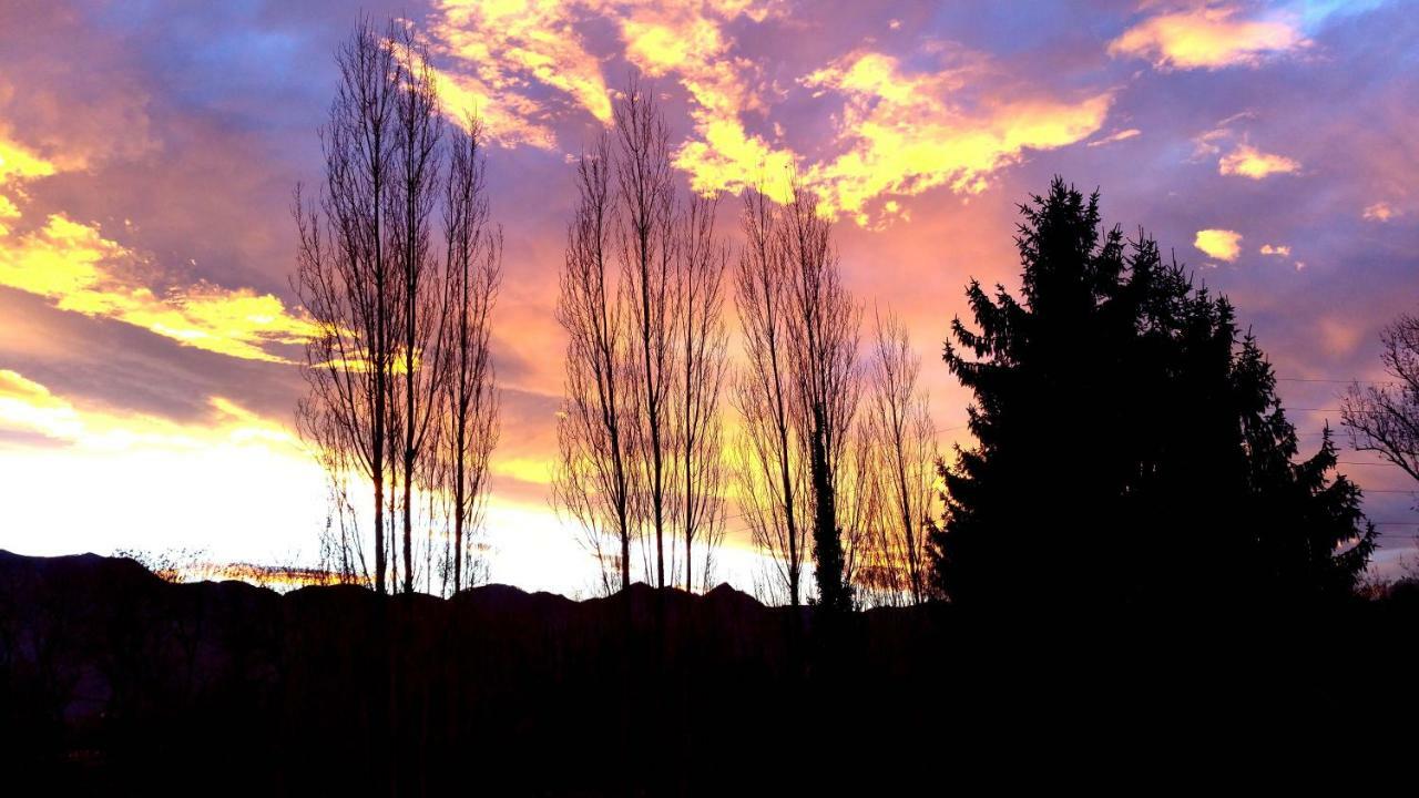 La Demeure Aux Pins Bed & Breakfast Lourdes